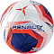 Мяч футбольный "PENALTY BOLA CAMPO S11 TORNEIO" р.5